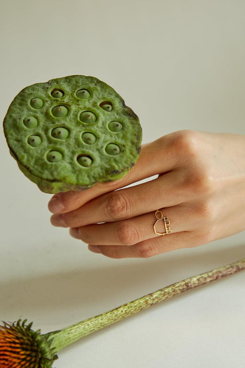 フランス発送 ALIITA リング TORTUGA RING Tortuga Gold Ring - ALIITA – ALIITA-US